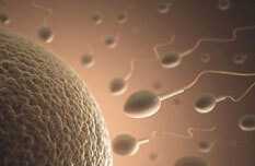 供卵试管对子宫的要求&代孕电话,为什么孕期眼睛干燥