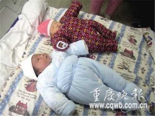 郑州代孕加捐卵多少钱_郑州找一个代孕_吕进峰公司是真是假_1626744658618