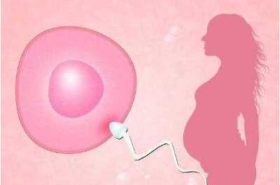 怀化51岁供卵自怀成功率_试管婴儿第二次促排，雌二醇涨的太快。