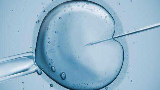 大理37岁供卵怀孕有风险吗_大理56岁供卵移植囊胚的成功率_泰国试管婴儿要去几