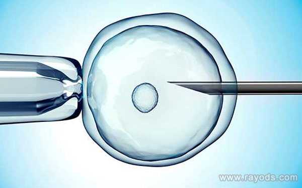 北辰42岁供卵还可以做双胞胎吗_为什么做柬埔寨试管婴儿要选择冷冻胚胎？