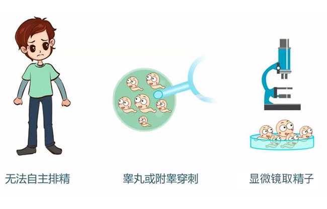深圳借卵生男孩自怀费用_生殖医学中心可以帮助不孕不育夫妻怀孕，试管婴儿