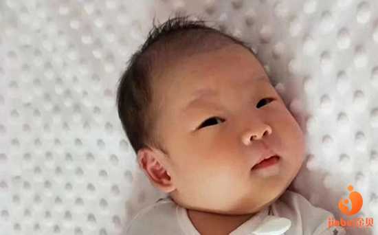 永州52岁试管婴儿生儿子的机率_永州44岁供卵做几代成功率高_2019年准备生宝宝
