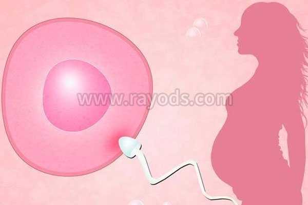 安庆44岁试管婴儿生儿子过程_美国试管婴儿成功率高是毋庸置疑的，卵巢早衰赴