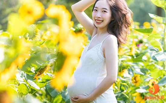 山南地48岁供卵移植囊胚的成功率_山南地37岁供卵受孕成功率_做试管第一次去中