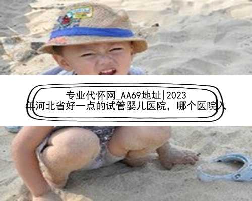 专业代怀网_AA69地址|2023
年河北省好一点的试管婴儿医院，哪个医院入